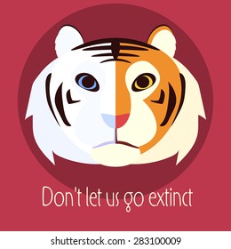White and siberian flat tigers poster