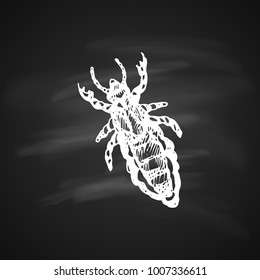 The white silhouette of the beetle crum painted a gel pen on black background