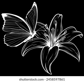 white silhouette of butterflly and flower on black background vector illustration design art
