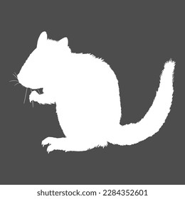 White Silhouette of Chipmunk Vector Illustration on Dark Background