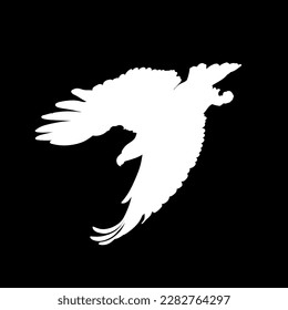White silhouette of the diving bald eagle on black background. Vector illustration.
