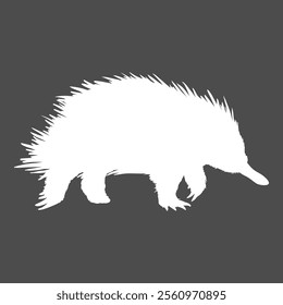 White Silhouette Echidna Single Fullbody Illustration. Side View