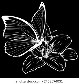 white silhouette of Flower with butterfly on black background