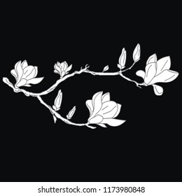 white silhouette of a flowering branch