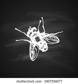 The white silhouette of the Fly on black background. Icon silhouette illustration