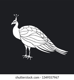 White Silhouette of Peacock Hand drawn vector illustration. 