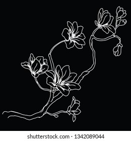 white silhouette of sprigs of cherry