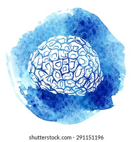 White silhouette of a stony coral of Favia genus cut through with outline isolated on top of the traced yellow watercolor blot. EPS10 vector illustration.