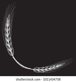 White silhouette of wheat ears on a black background. Vector illustration.