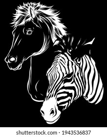 white silhouette of Zebra and horse heads profile on black background