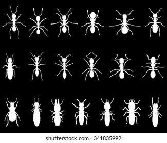 White silhouettes of ants and termites, vector