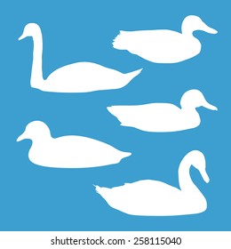 white silhouettes of birds: swans and ducks 