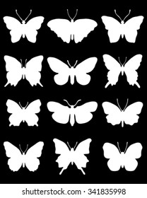 White silhouettes of butterflies, vector