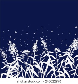 White silhouettes of herbs and flowers on a dark background. Summer Night.