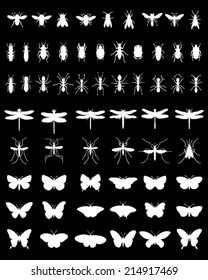 White silhouettes of insects on a black background, vector