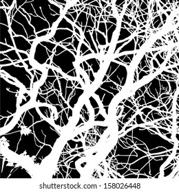 White silhouettes of tree branches on a black background