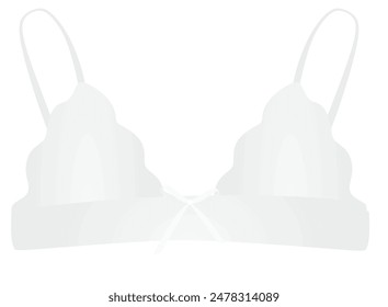 White silk bra. vector illustration