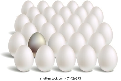 white silver eggs rows