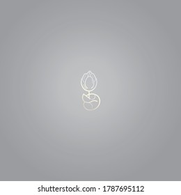 White silver line art sacral geometry gradient alchemy symbol icon in modern style. Can be used for fluent design poster, electronic music technology cover, flyer, logo, t-shirt print.