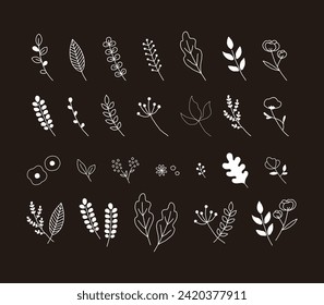 White simple hand-drawn leaf line drawing illustration set