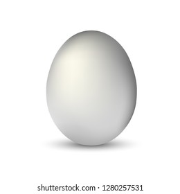 white single realistic animal egg isolated with soft shadow on white background vector illustration EPS10