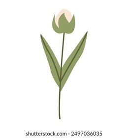 White single rose. Flat vector illustration isolated on white background.