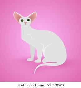 White Sitting Cat on pinck background. Vector Illustration.
