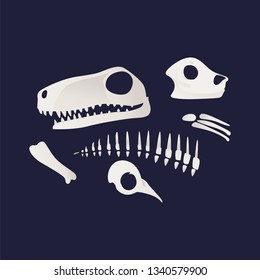 White skeleton and bones of a dinosaures in flat cartoon style, vector illustration on blue background.