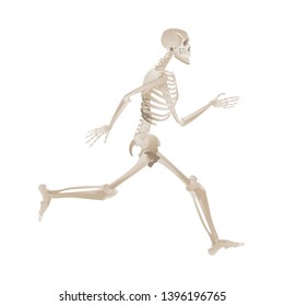 3d Digital Render Human Skeleton Ushirogeri Stock Illustration 233390398