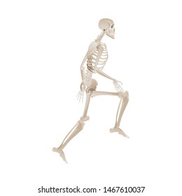 White skeleton running motion - sideways view of body with leg lifted and ready to run - vector illustration isolated on white background