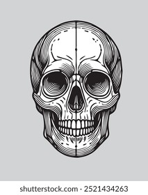 ilustração de esqueleto branco e escultura