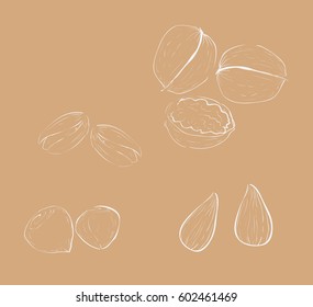 White sketch of nuts, walnuts, almonds, hazelnuts and pistachio
vector set