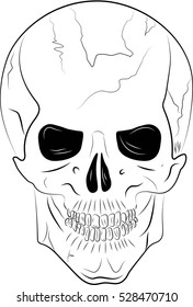 White skull
