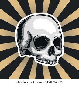 white skull head, vector illustration