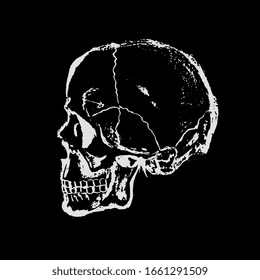 white skull on black background hand drawn graphic print