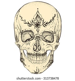 White skull with ornament on white background.