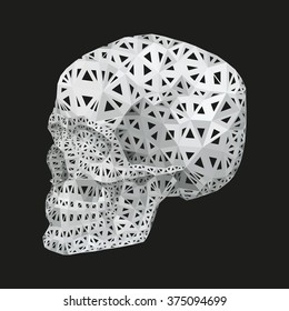 white skull in turn drawn by hand