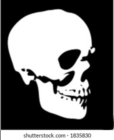 White skull - vector