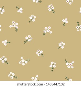 white small flowers pattern on background