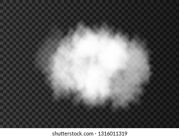 White smoke  cloud  isolated on transparent background.  Steam special effect.  Realistic  vector fire fog  or mist texture. 