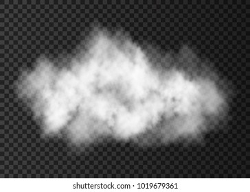 White  Smoke Explosion   Isolated On Transparent Background.  Steam  Cloud  Special Effect.  Realistic  Vector   Fire Fog Or Mist Texture .