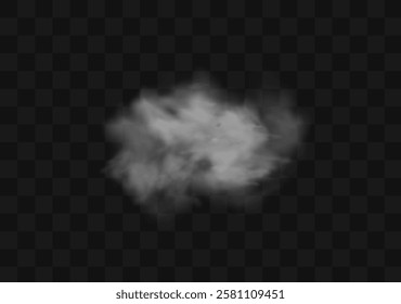 White smoke or fog flow on floor. Large mist in dark room on black background. Smoke on stage studio. White cloud