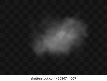 White smoke or fog flow on floor. Large mist in dark room on black background. Smoke on stage studio. White cloud