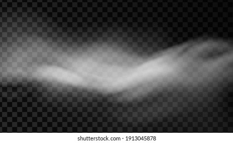 White smoke or fog vector background. Isolated mist transparent effect. Steam texture illustration. Powder explosion concept.