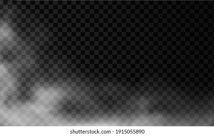 White smoke or fog vector background. Isolated mist transparent effect. Steam texture illustration. Powder explosion concept.