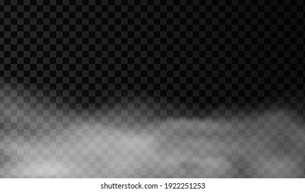 White smoke or fog vector background. Isolated mist transparent effect. Steam texture illustration. Powder explosion concept.