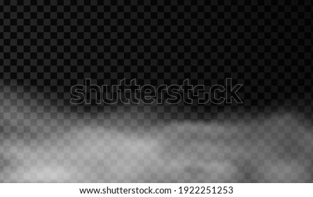 White smoke or fog vector background. Isolated mist transparent effect. Steam texture illustration. Powder explosion concept.