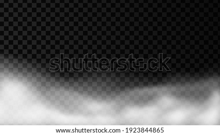 White smoke or fog vector background. Isolated mist transparent effect. Steam texture illustration. Powder explosion concept.