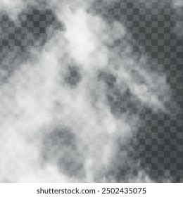 White smoke texture isolated on transparent background. Steam special effect. Realistic vector fog or mist.