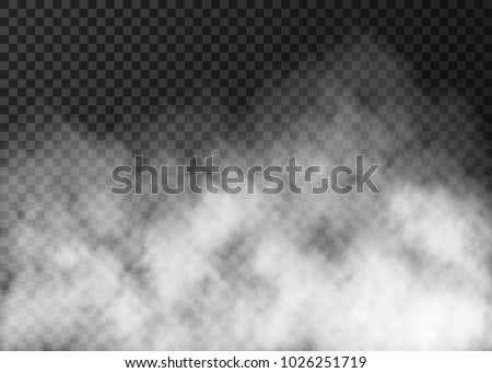 White smoke texture isolated on transparent background.  Steam special effect.  Realistic  vector   fog  or mist.